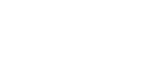 Logo Big Rooster AB